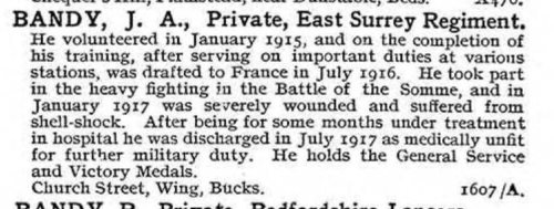 National Roll of the Great War